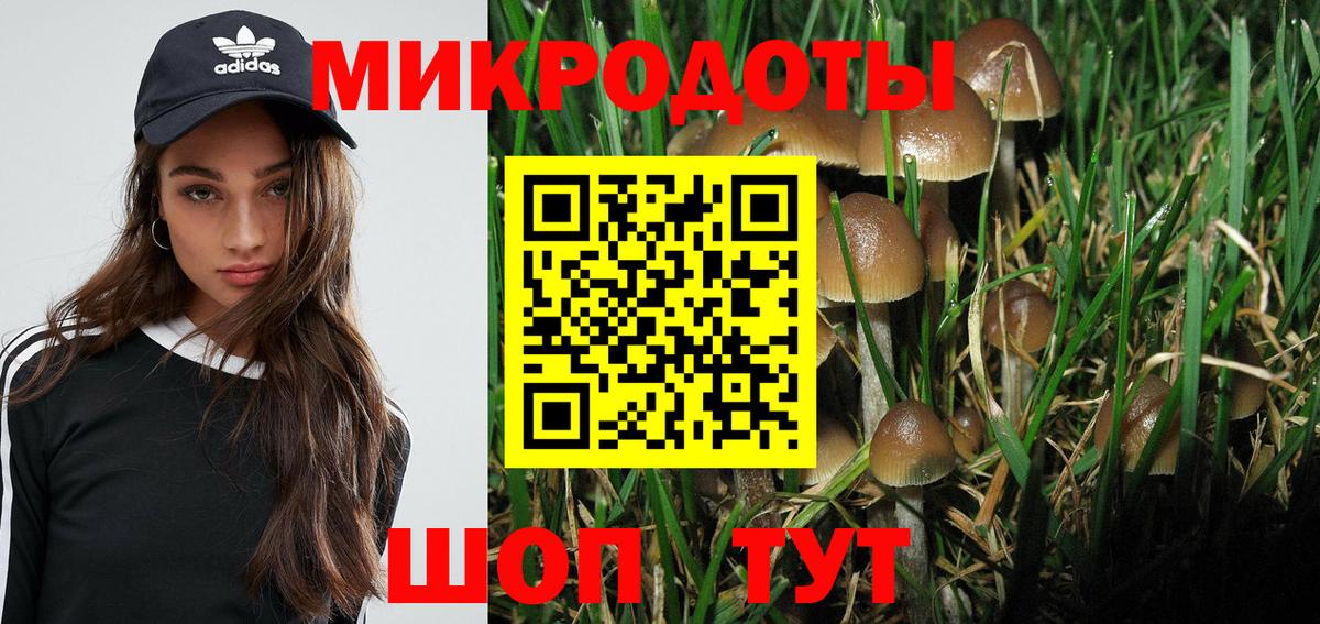 Псилоцибиновые грибы Psilocybine cubensis  сколько стоит  Россия  Вход с VPN  Галлюциногенные грибы Cubensis 